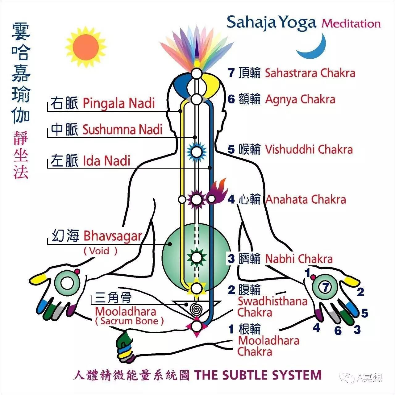 顶轮位置示意图图片